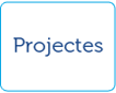 Projectes